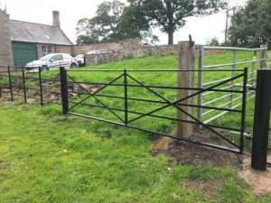 fencing and gate